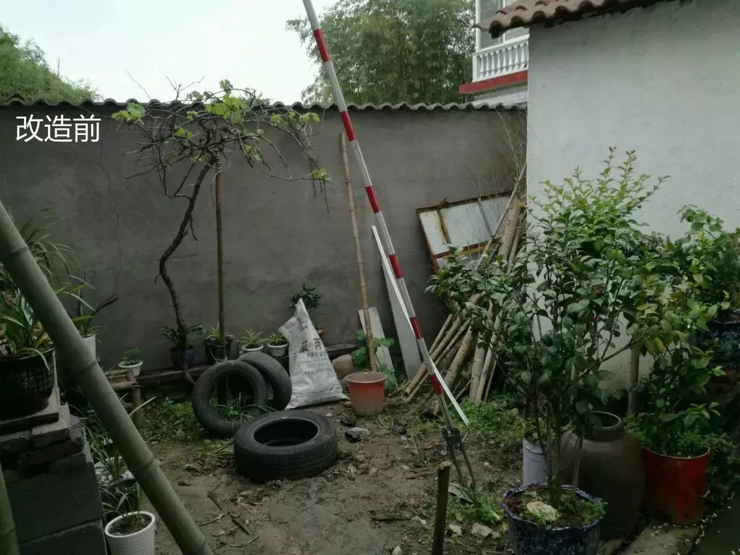 大叔也爱养花，3天造出个小花园，一分钱没花！-7