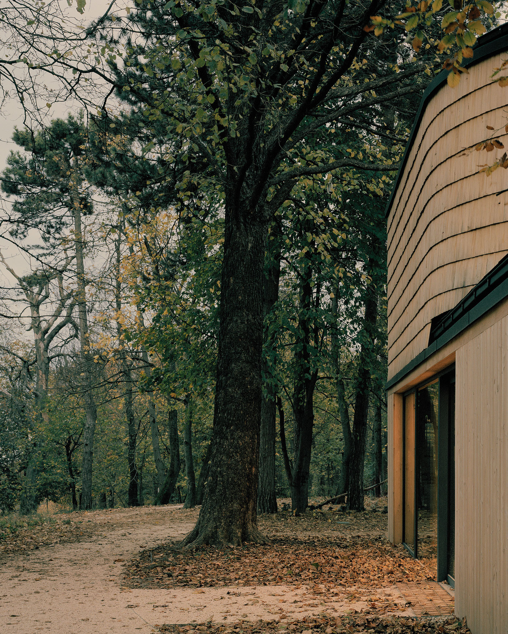 Normafa Ski House 室内设计丨匈牙利布达佩斯丨Hetedik Müterem,Studio Konstella-32