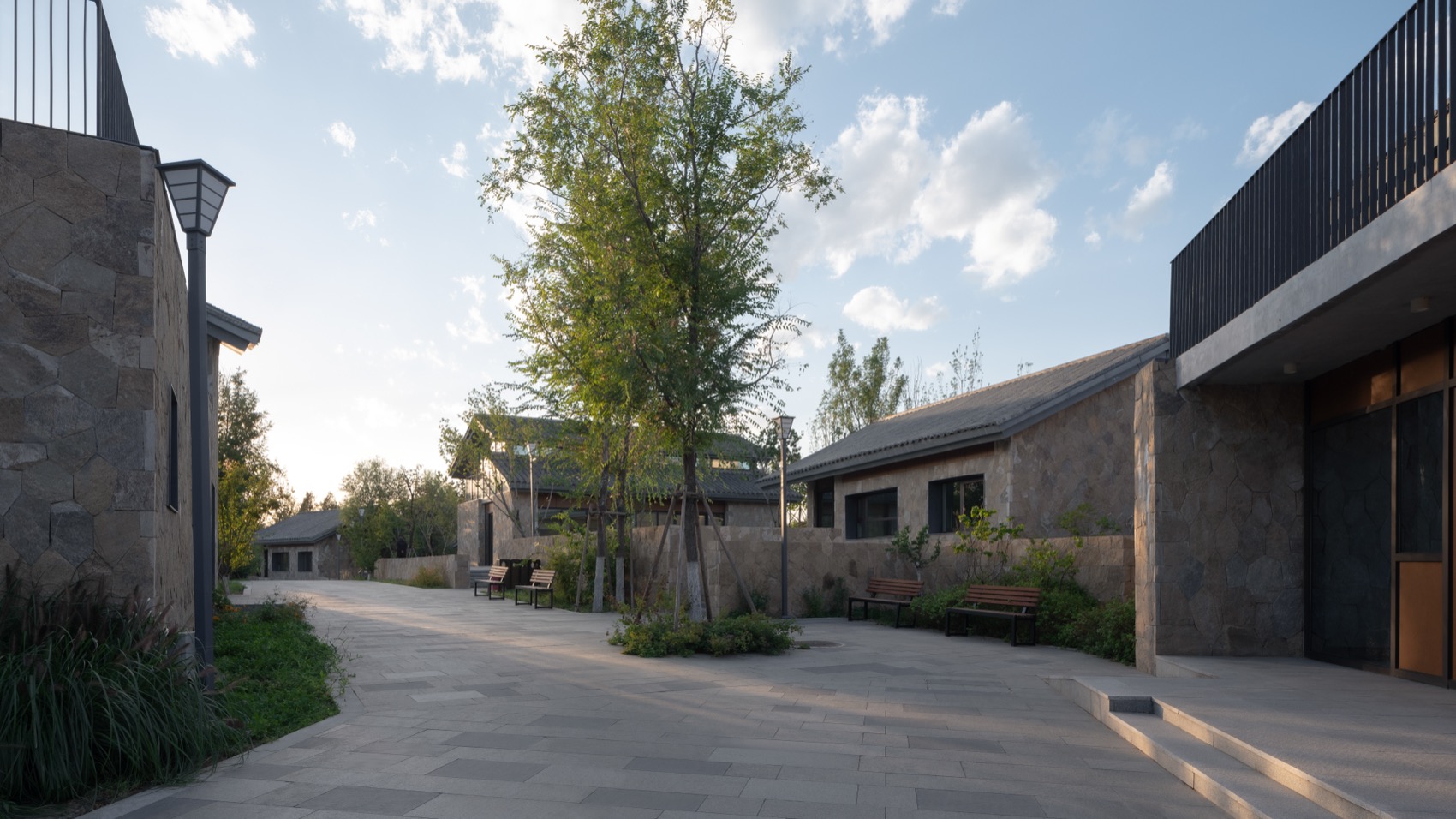 雄安新区悦容公园桃花园丨北京林业大学园林学院,北京多义景观规划设计事务所-57