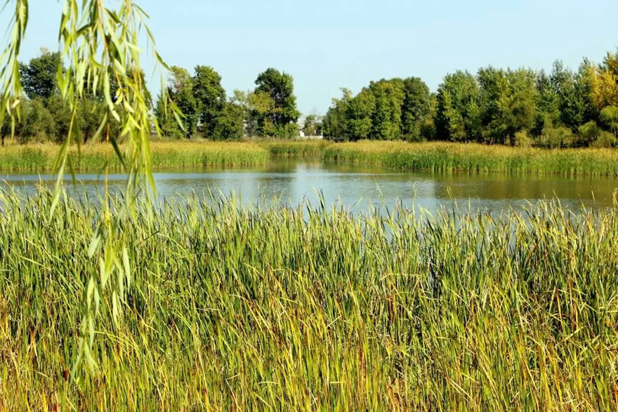 长春北湖国家湿地公园-34