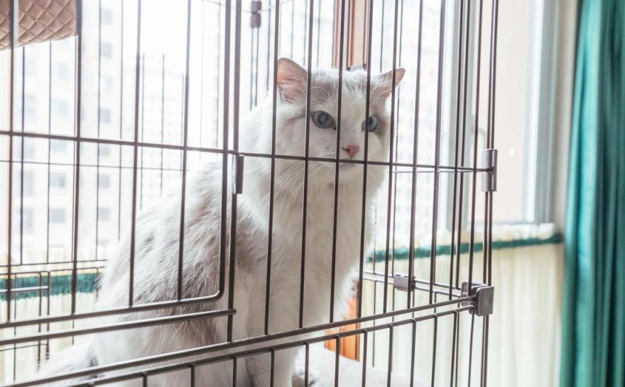 融合色彩与生活的完美空间-23