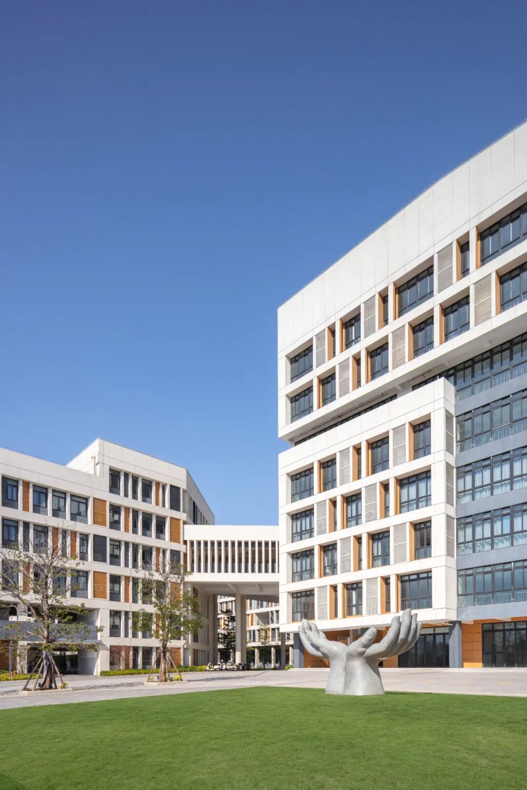 夏至丨夏至已至，万物繁茂-28