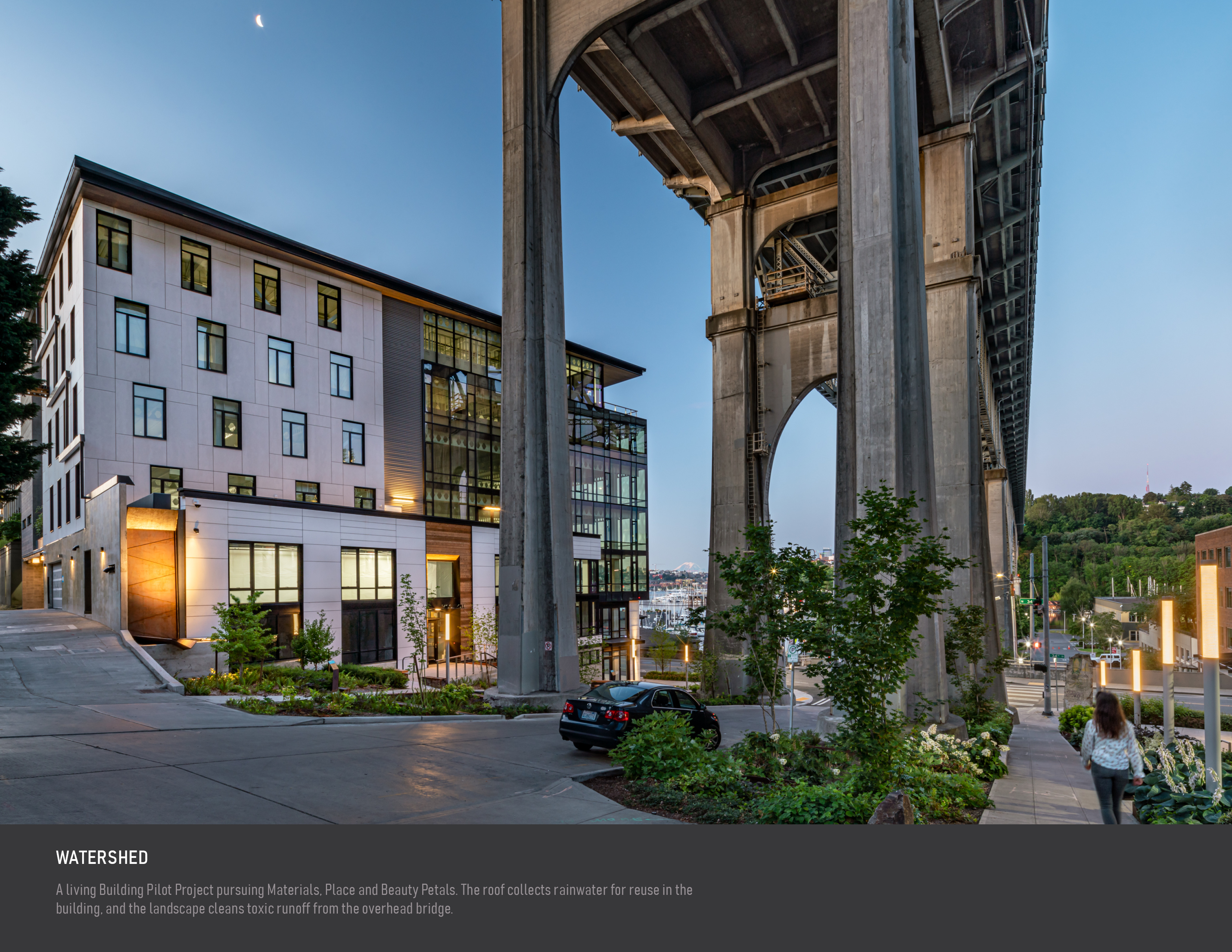 Watershed · 环保先锋的商业办公室设计丨美国西雅图丨Weber Thompson-15