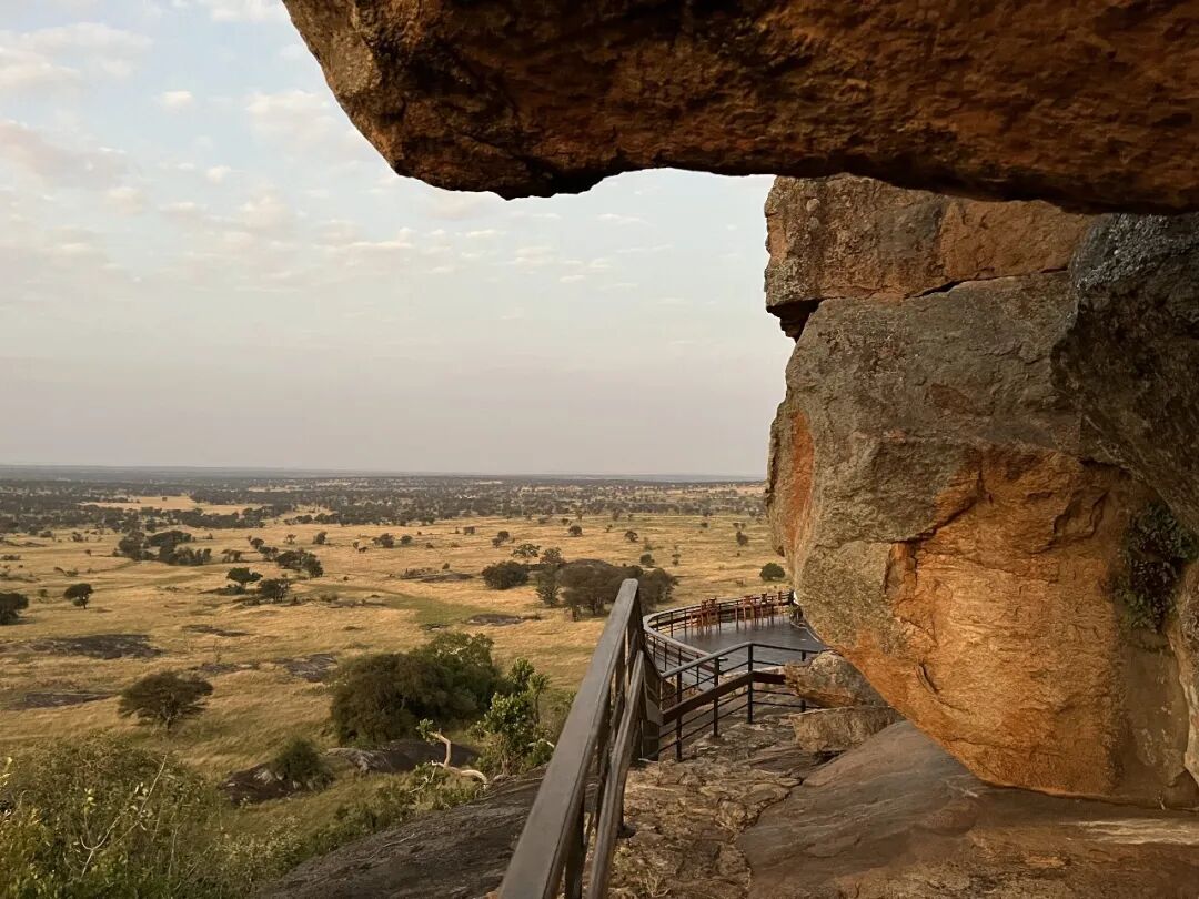 非洲考察2|坦桑酒店探访-114