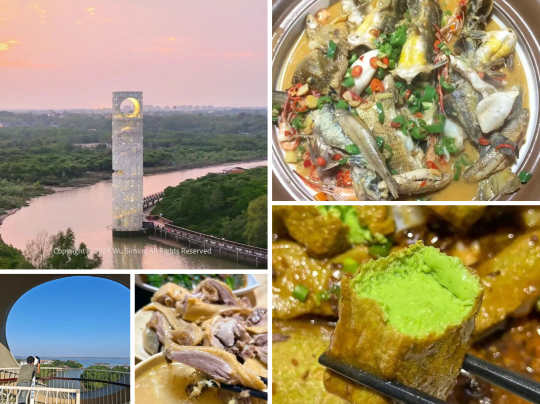 LDG动态︱海口东寨港红树林旅游区：生态典范，设计华章-9