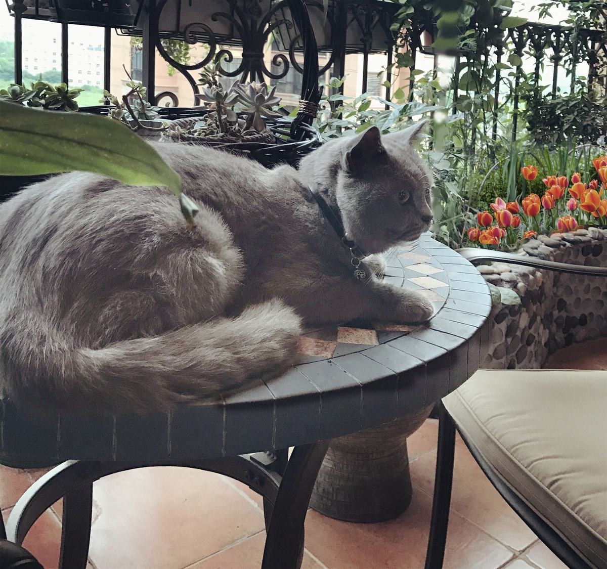 申远空间设计|美式混搭-54