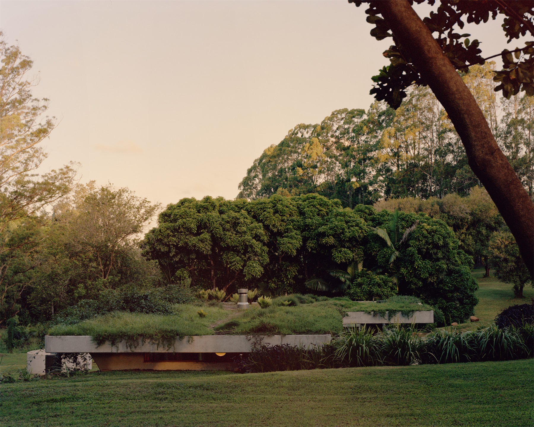 帕洛玛丨澳大利亚悉尼丨Fearon Hay-42