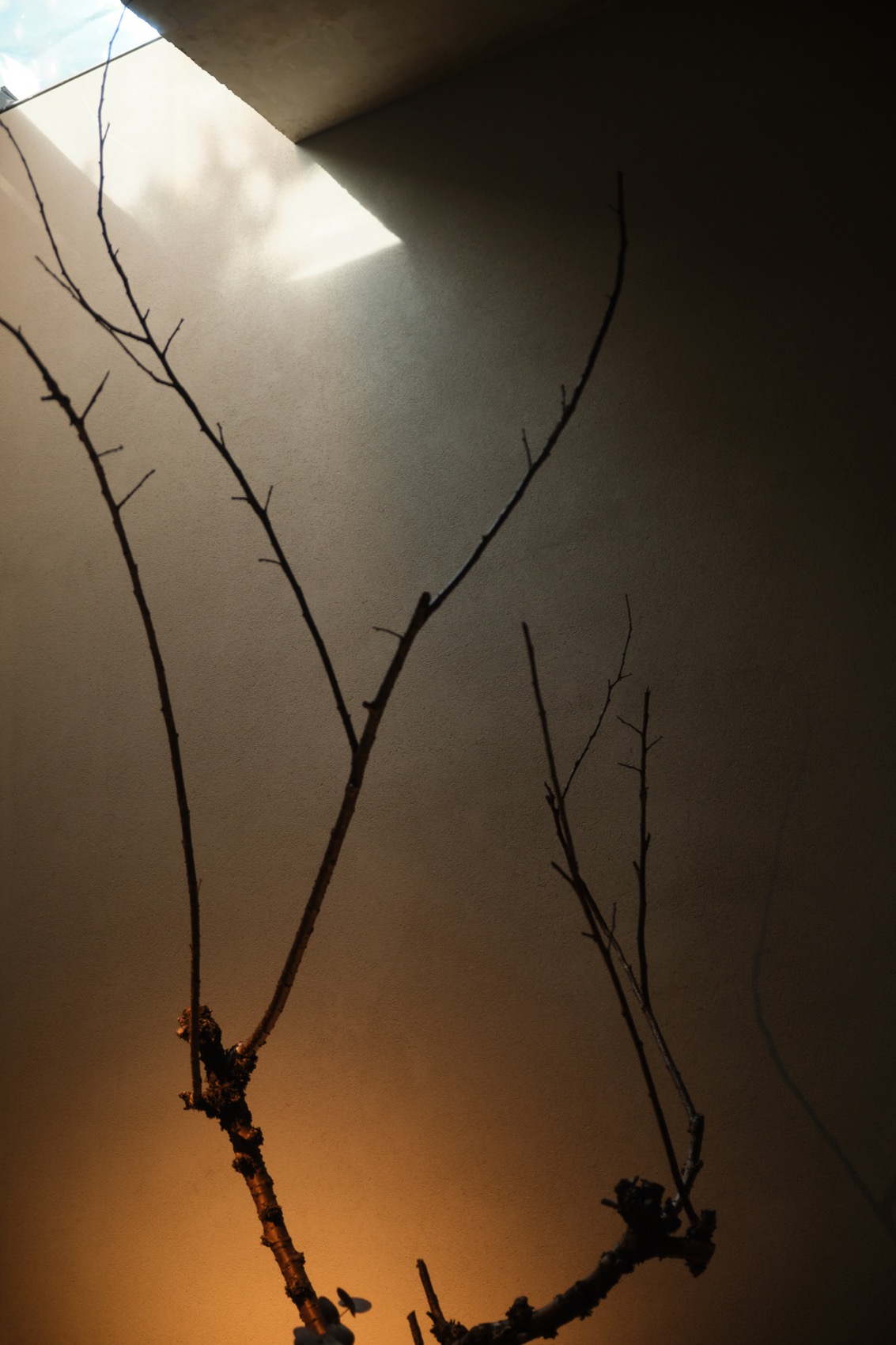 馐·shy table 餐厅丨中国杭州丨八荒设计-61