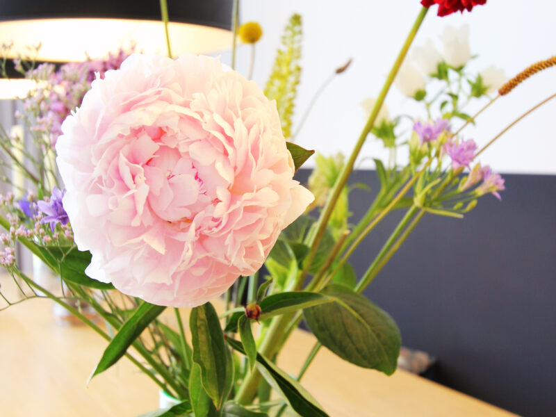 Nya Interieurontwerp | Project Delft – Ontwerp A la Carte-22