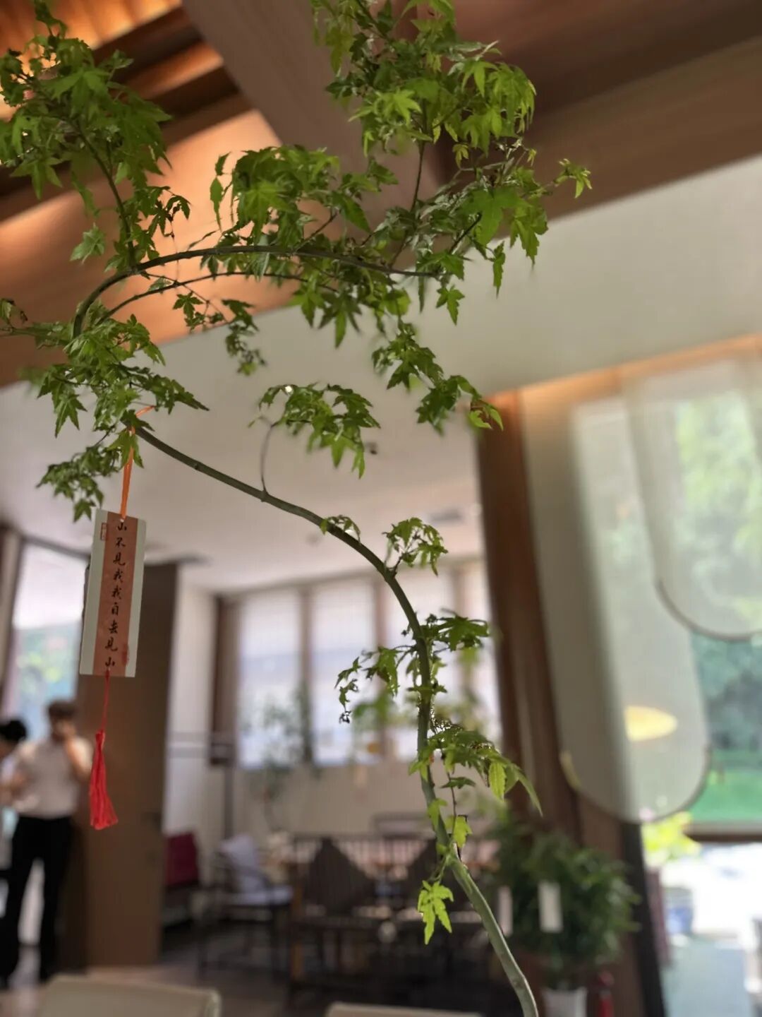 海淀新添宝藏打卡地！古风茶咖随手拍，就在这个公园——-28