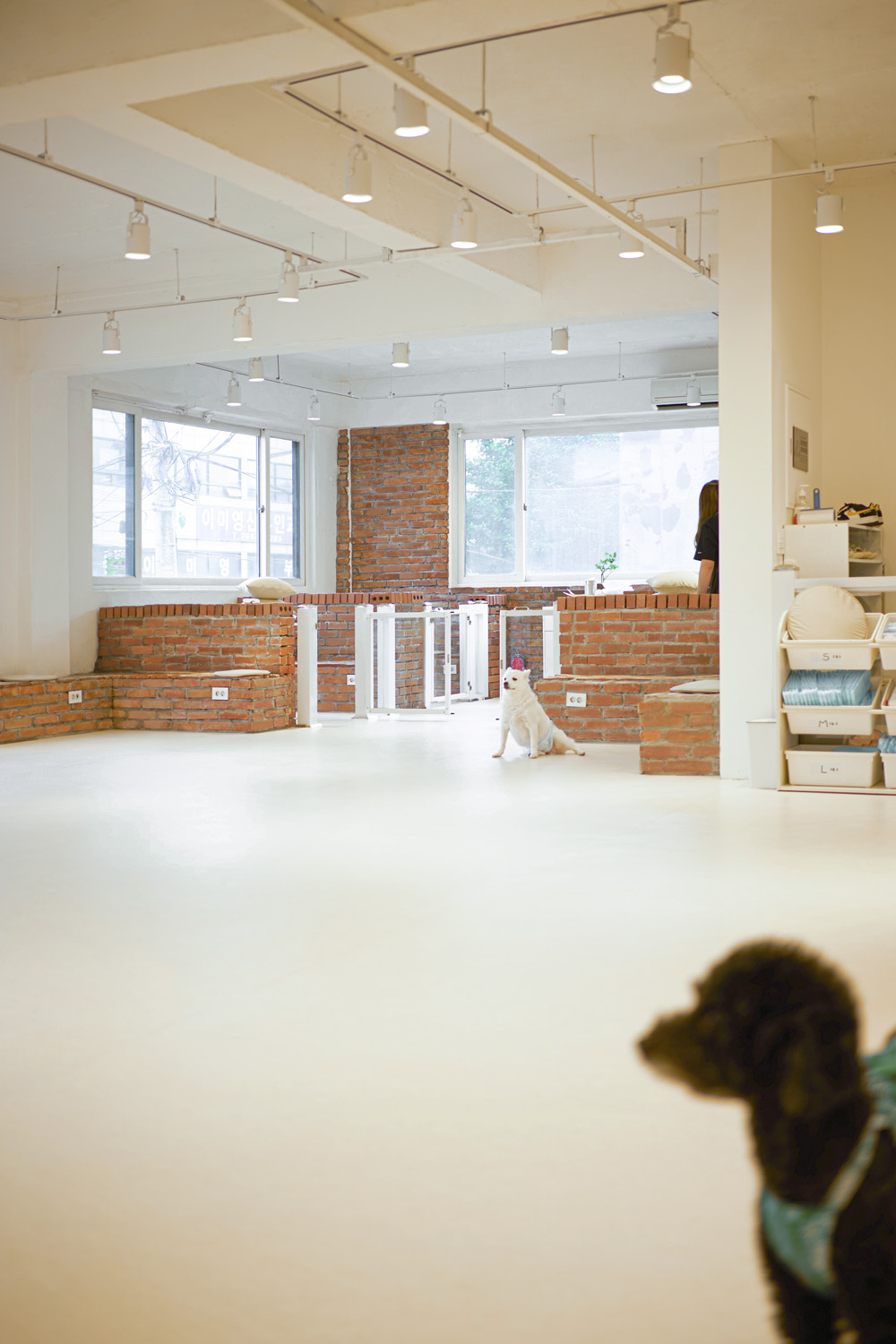 现代简约设计，50 平米公寓的惊艳变身-10