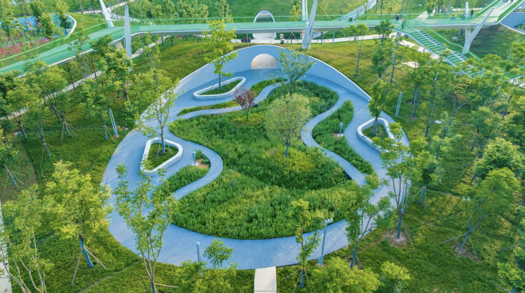 长沙人，周末+1！大泽湖近自然湿地公园惊艳亮相-27