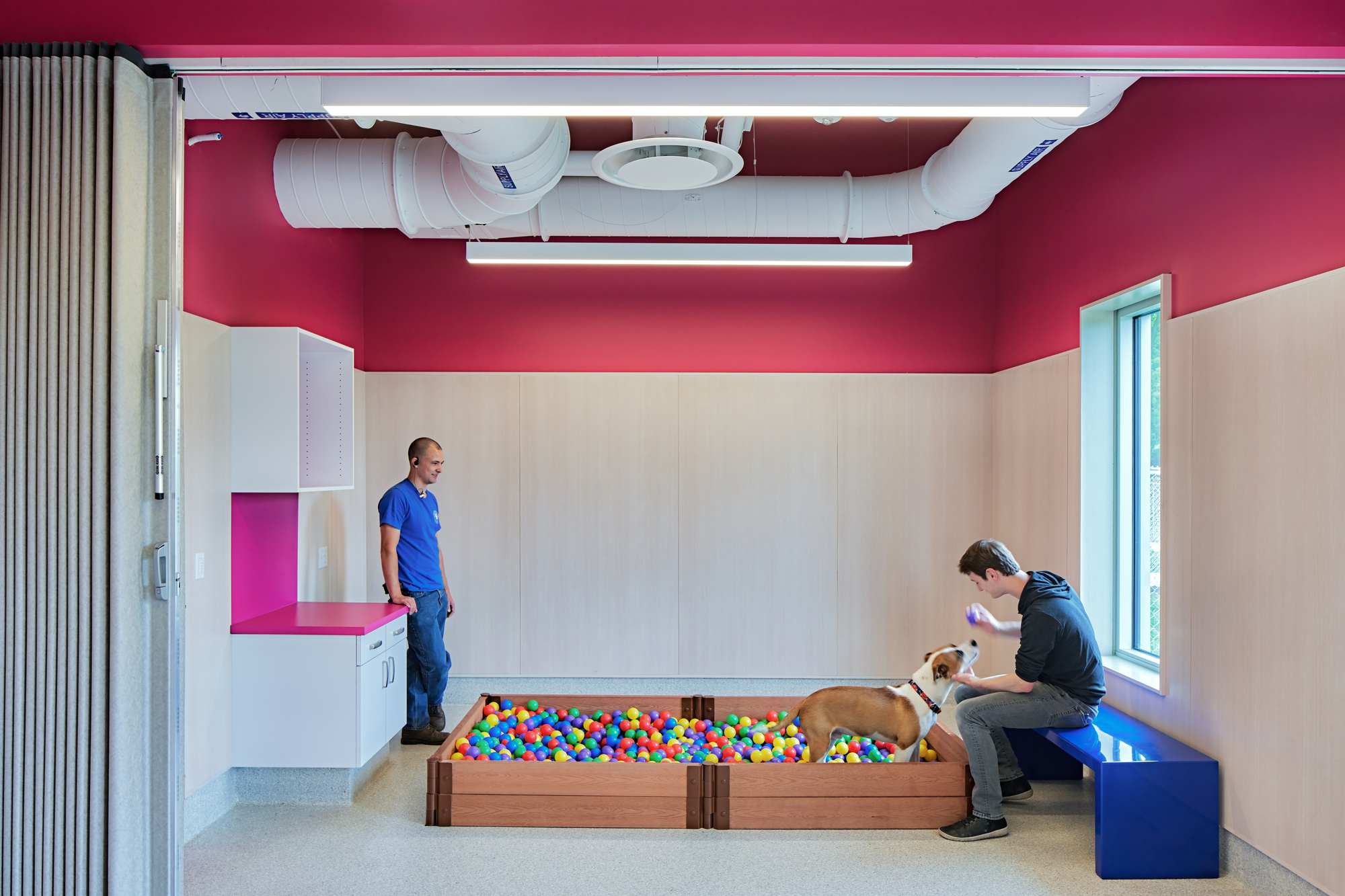 密歇根动物救援联盟丨美国丨PLY+-14