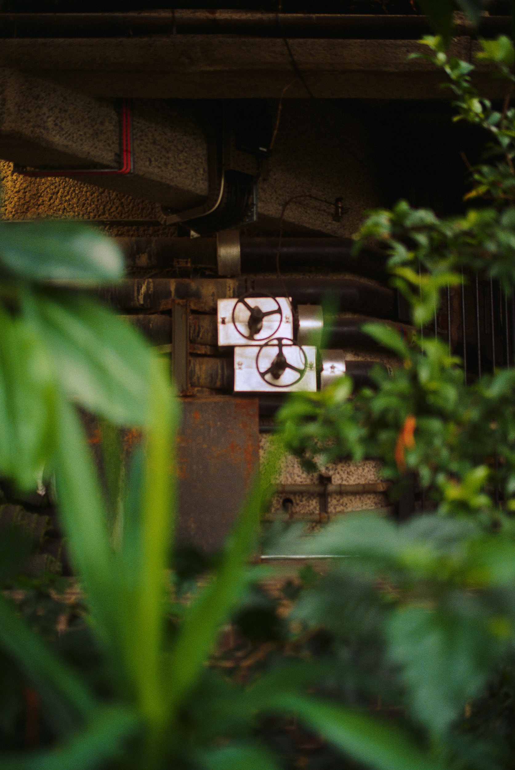 巴比肯温室丨英国伦敦-23