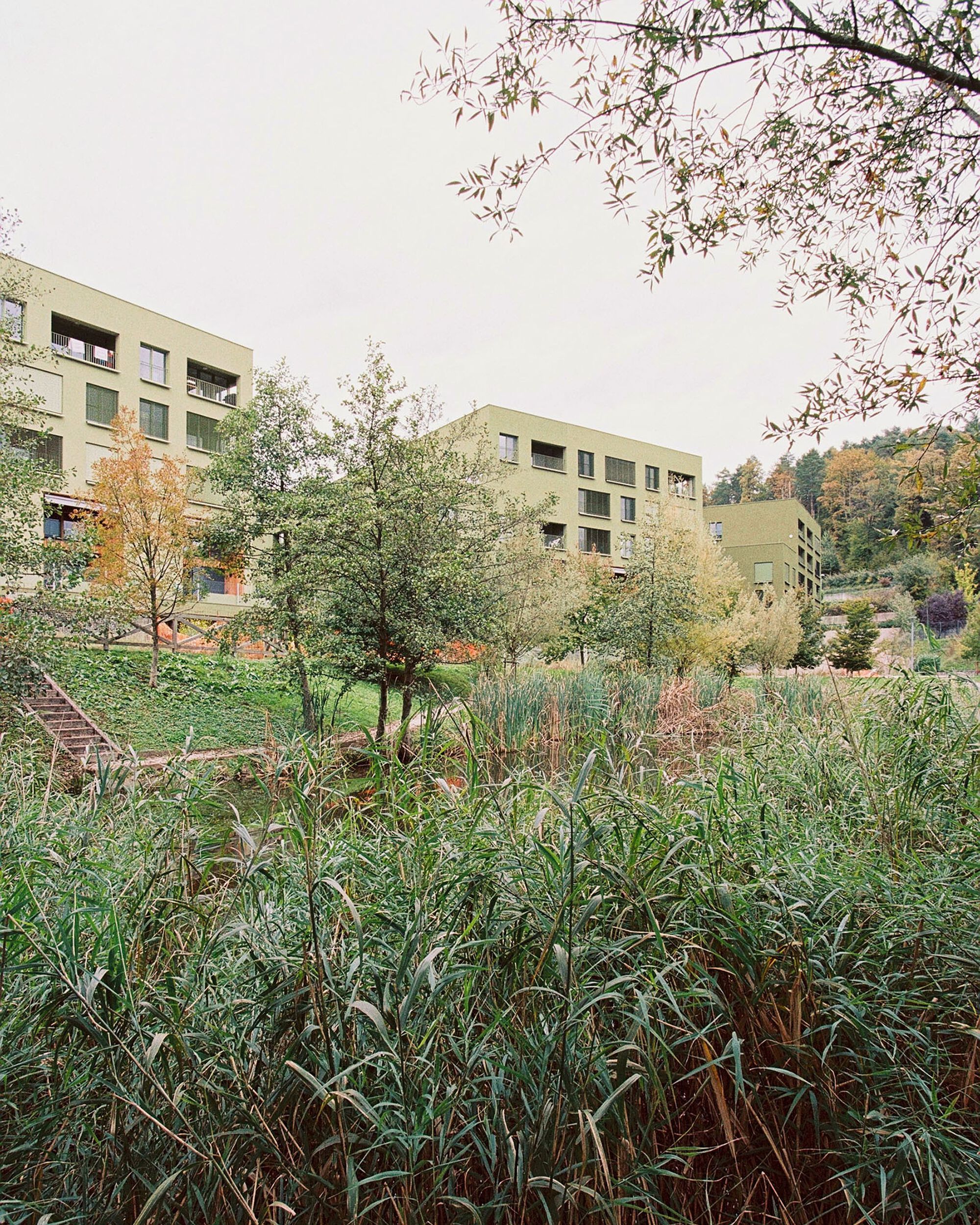 丨斯洛文尼亚-9