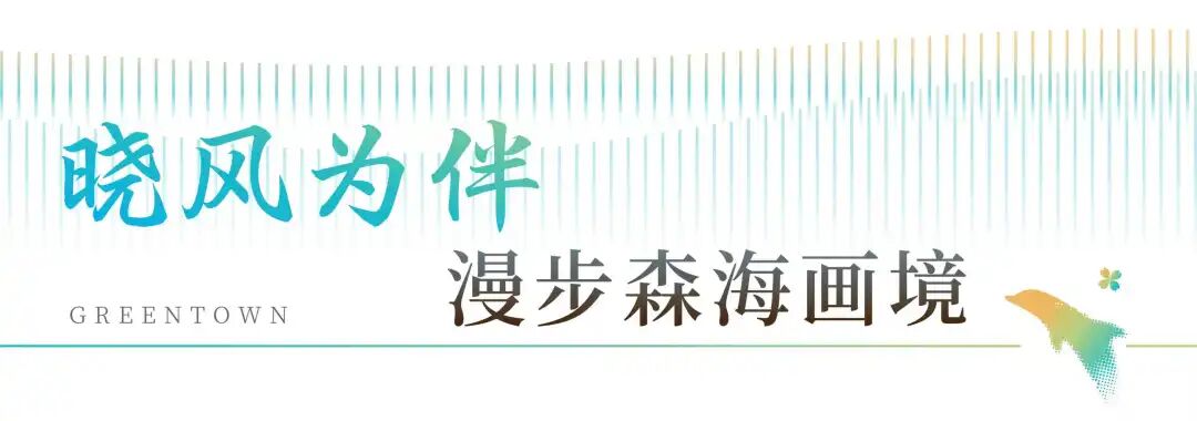 欢迎回家丨北纬18°的浪漫海韵-18