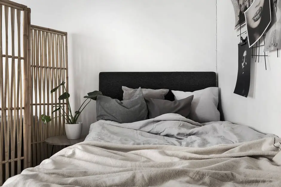 瑞典豪华公寓 | 现代斯堪的纳维亚风格典范-7