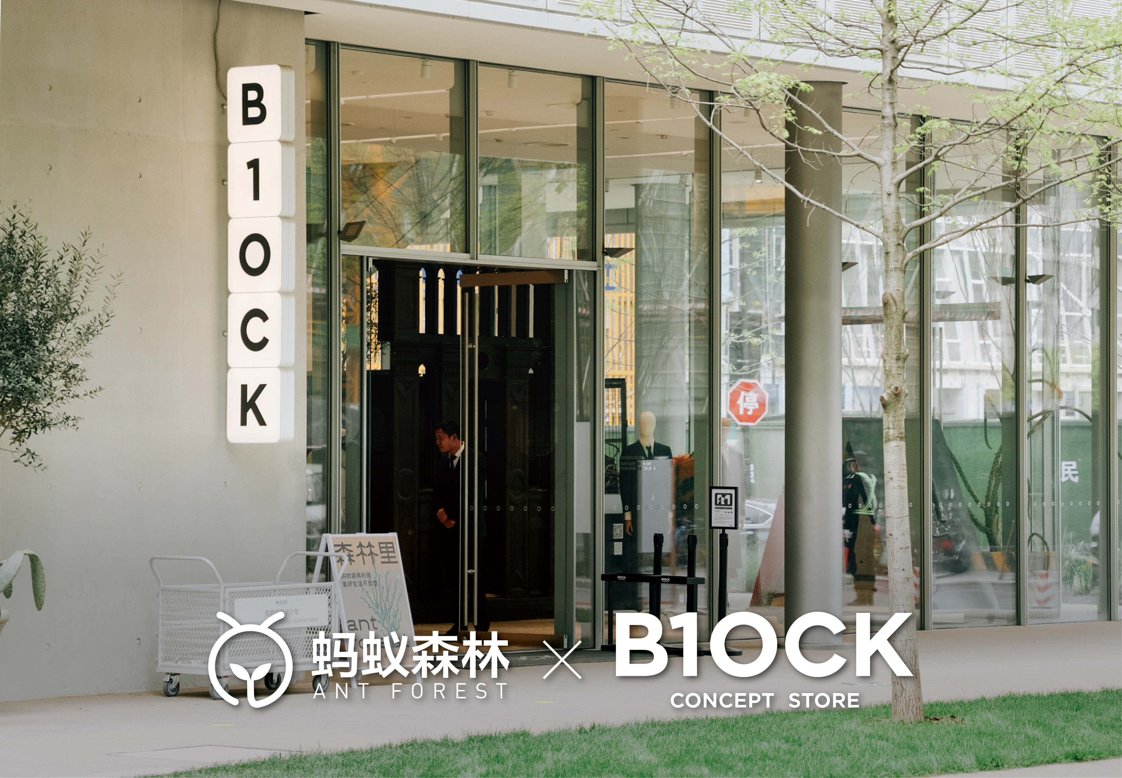 杭州天目里绿色嘉年华「森林里」丨中国杭州丨蚂蚁森林,杭州天目里,不是美术馆-55