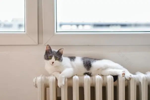 南京人抗冻新武器 | 明装暖气,温暖过冬不是梦-51