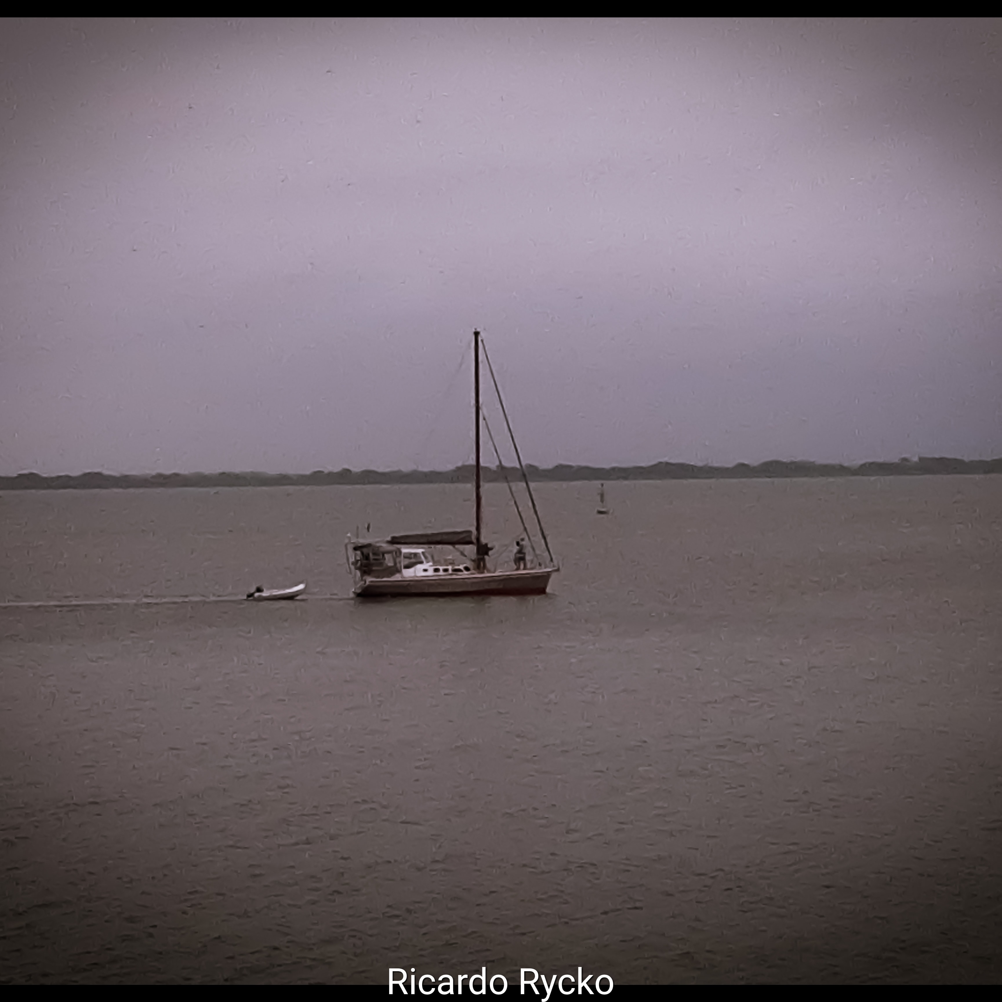 A Diversidade do Sul-9