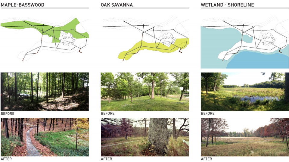马里恩湖畔住宅 | 生态修复与艺术交融-28