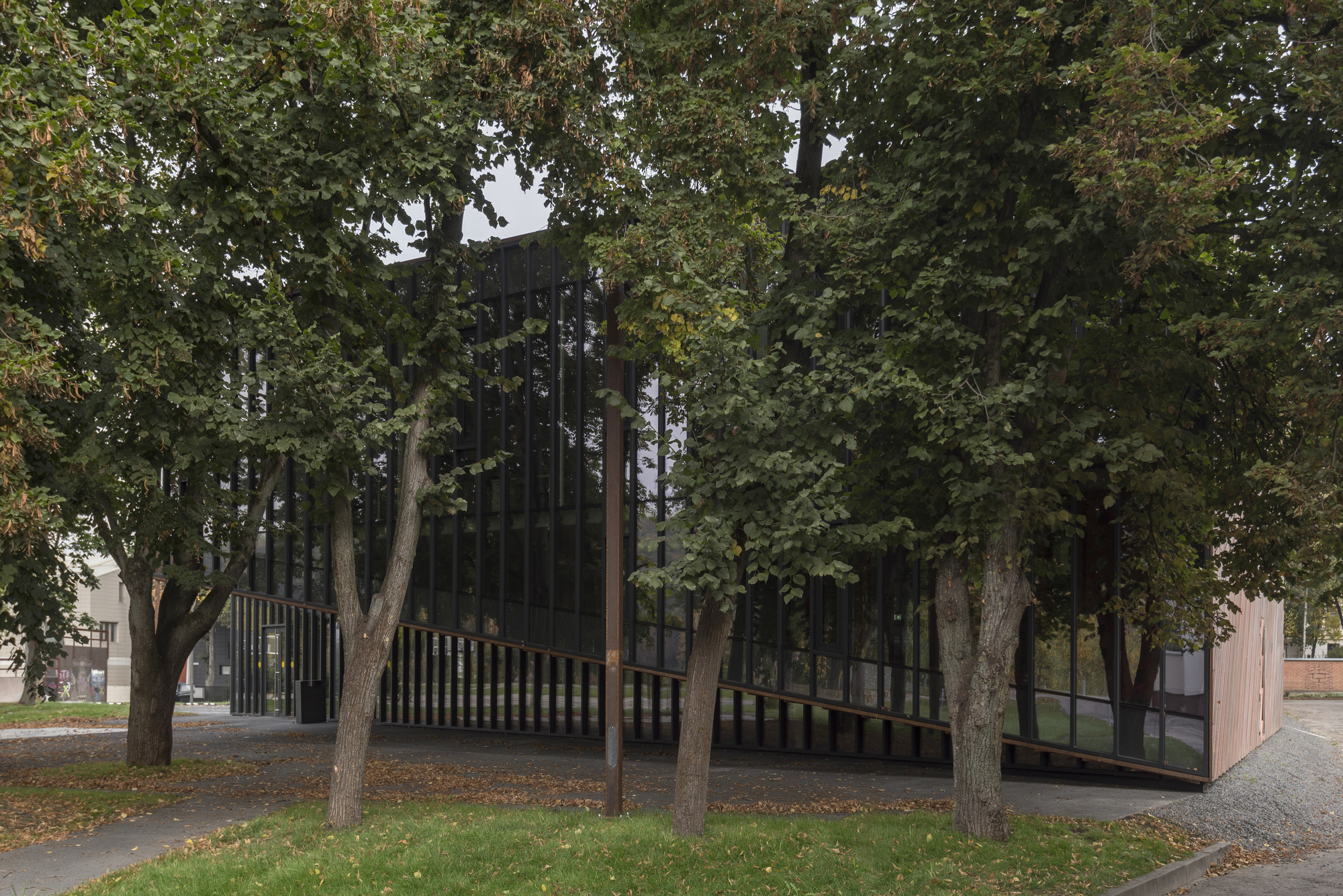 立陶宛篮球之家丨立陶宛考纳斯-37