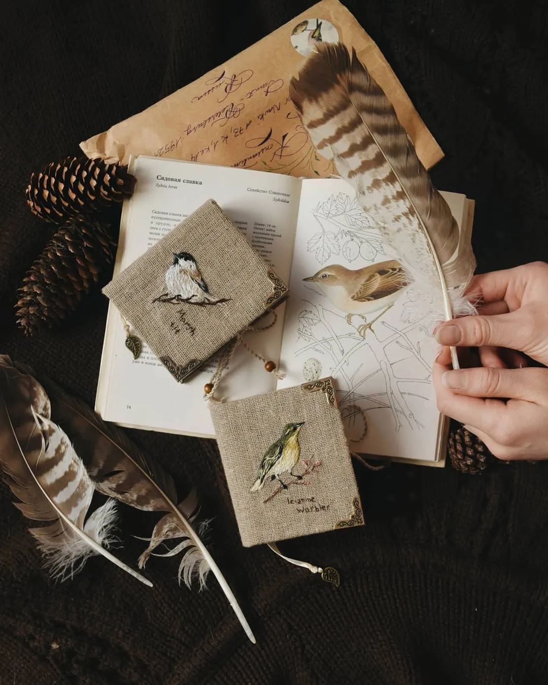 97 年小仙女隐居森林,把生活过成了童话-73