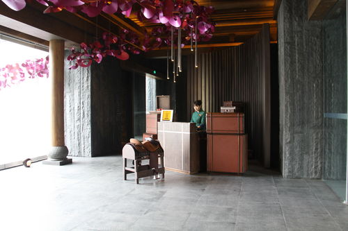 SFS银狐工作室  丽江英迪格酒店设计方案-18