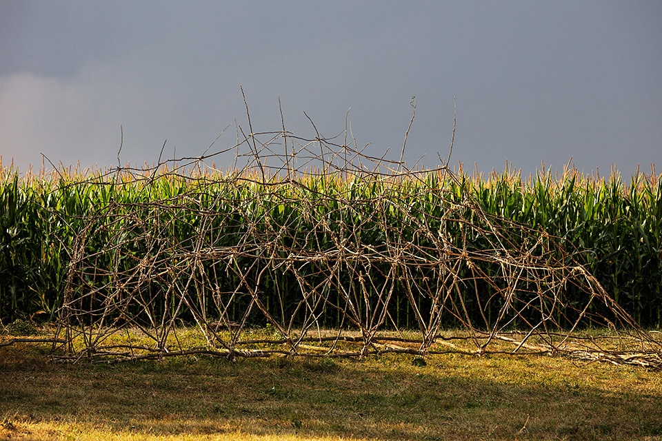 狂欢之境 | 20 个创意木制装置点亮 Hello Wood 建造节-94