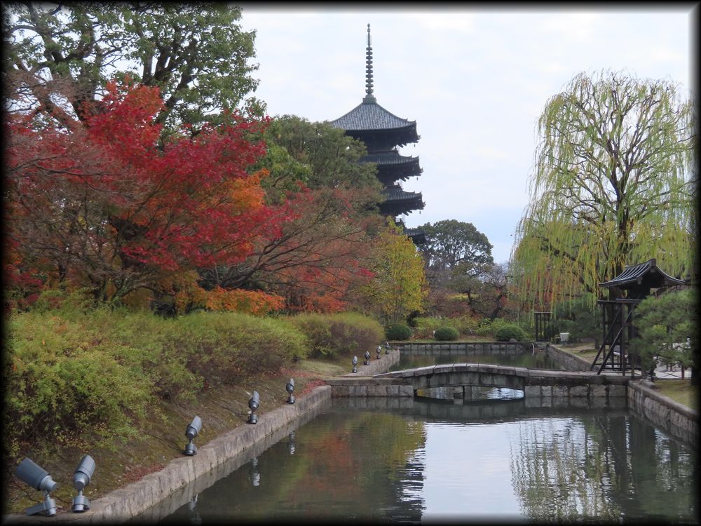 东寺观智院茶室「楓泉観」的露地丨日本京都丨未明确,可能为山田造园（仅为猜测）-7