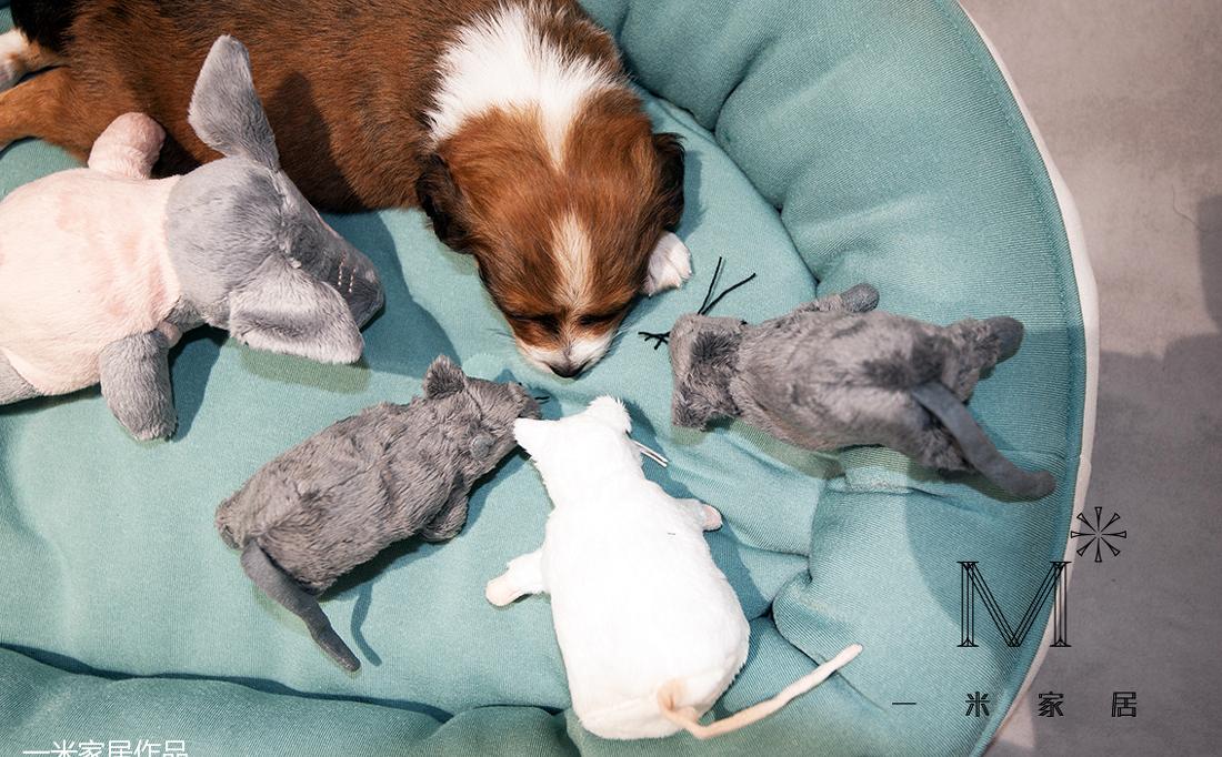 平层丨【一米家居】 ◣软装设计师Gene的北欧-5