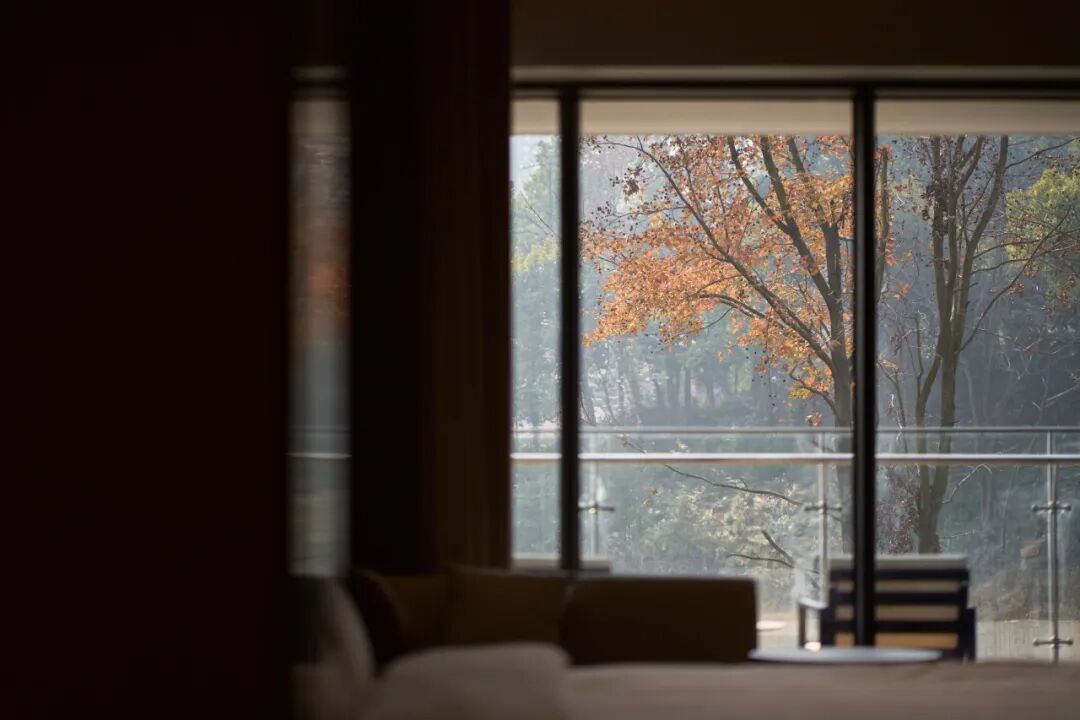 SUPERTOMATO|米墅·梧桐谷精品民宿-20