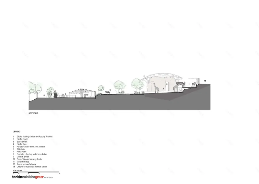 塔龙加动物园非洲热带稀树草原丨澳大利亚悉尼-24