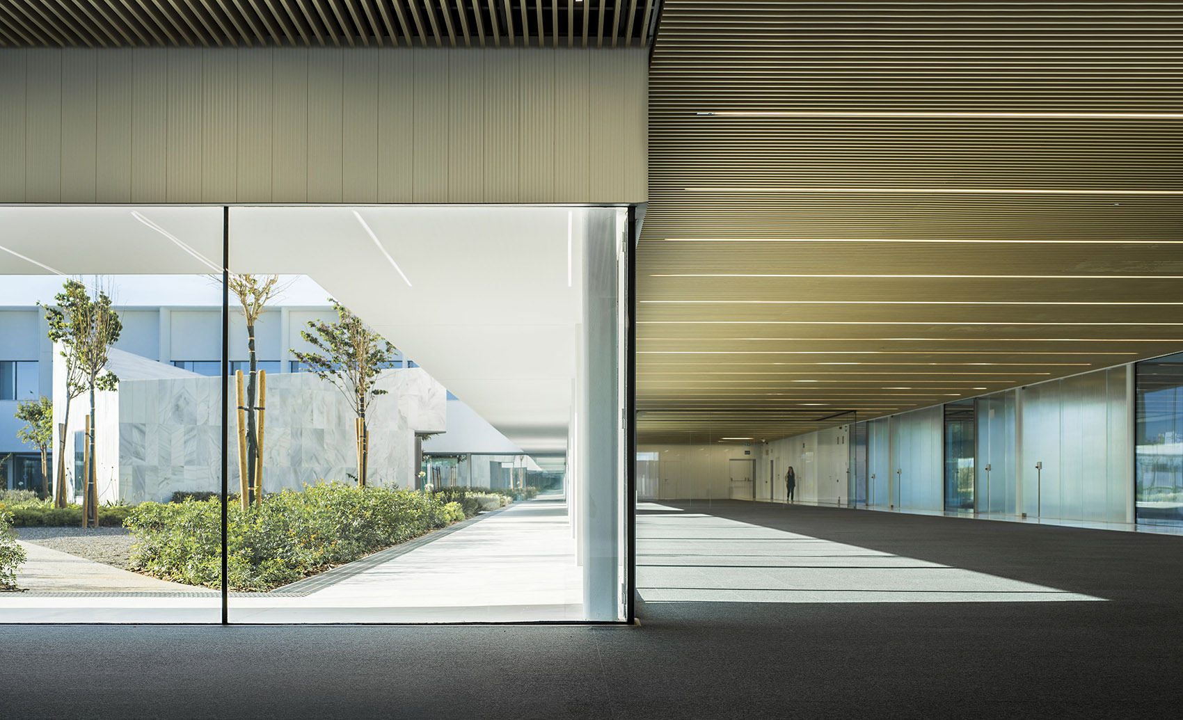 马拉加大学总部及礼堂丨西班牙马拉加丨Alcolea+Tárrago Arquitectos-37