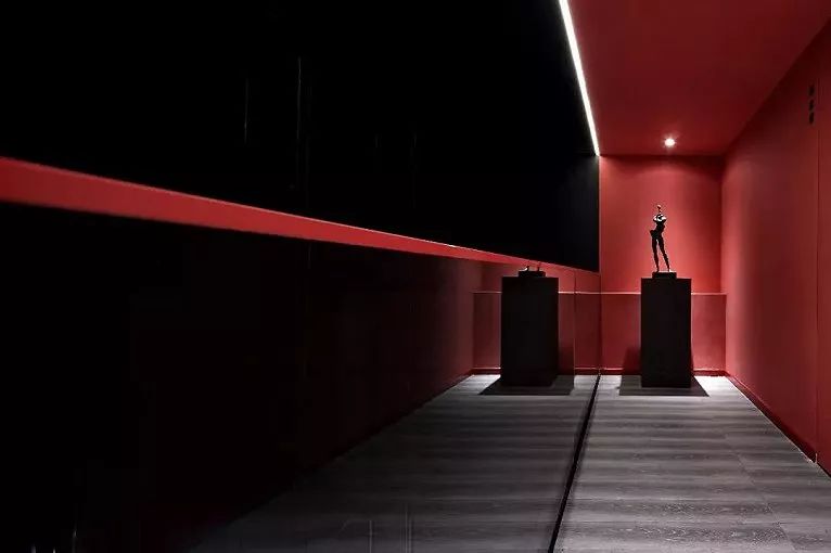 红与黑的颠覆——花喜养生品牌旗舰店-0