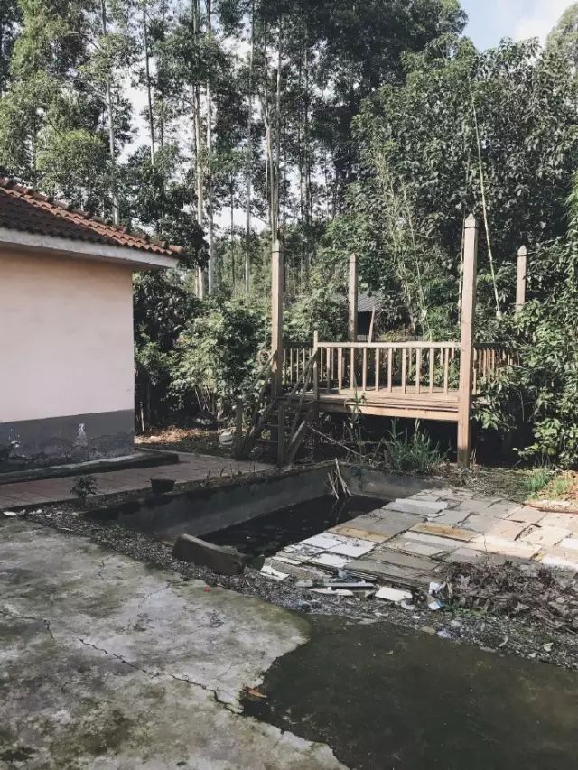 把一个破烂小院，爆改成中国风的入云屋，凉亭、枫树、竹篱笆......-133