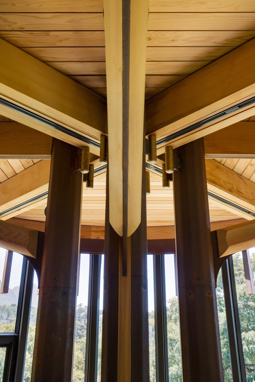 丨南非开普敦-21