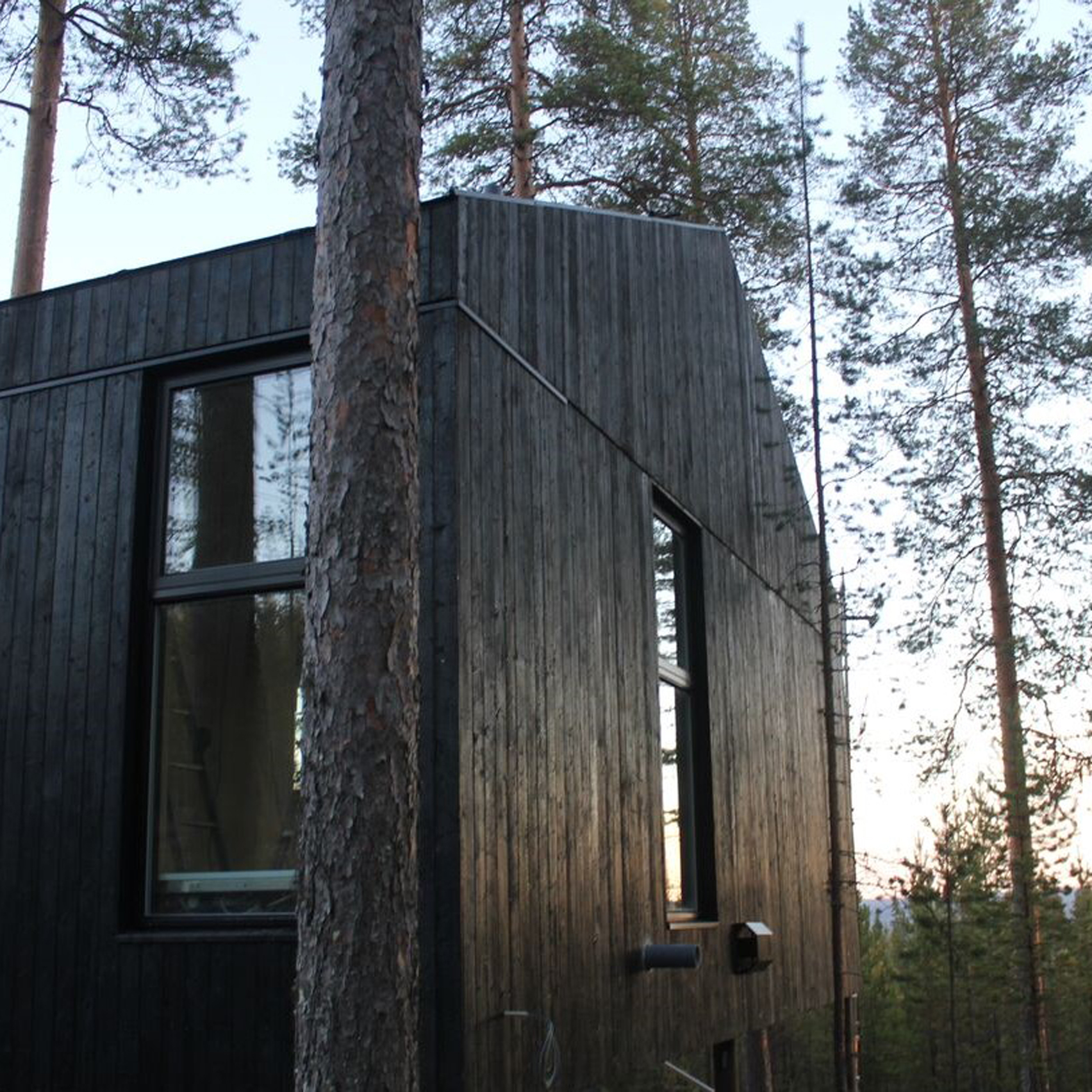 Snøhetta 打造瑞典 Treehotel 最高最大树屋，融入北极光美景-0