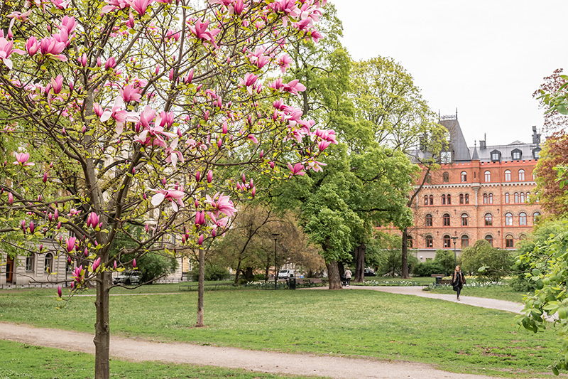 斯德哥尔摩 41 平米灰色调优雅小公寓-17