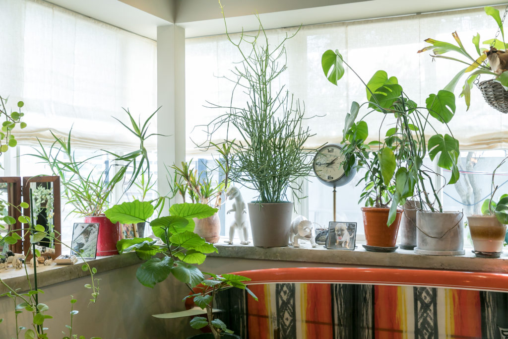 インテリアデザイナーの自邸 サーフィンを中心に考えた 鎌倉のリノベーション住宅 | Renovation | 100%LiFE-9