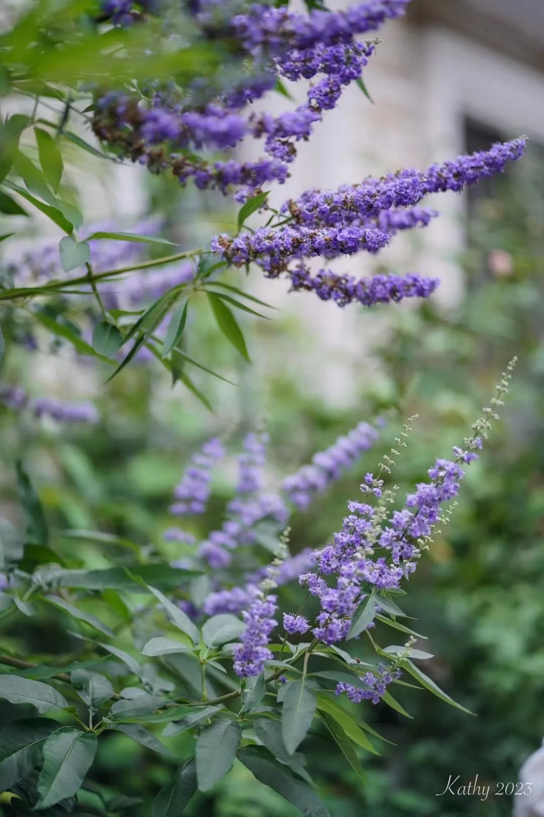 一米花园丨中国上海丨专业设计团队-61