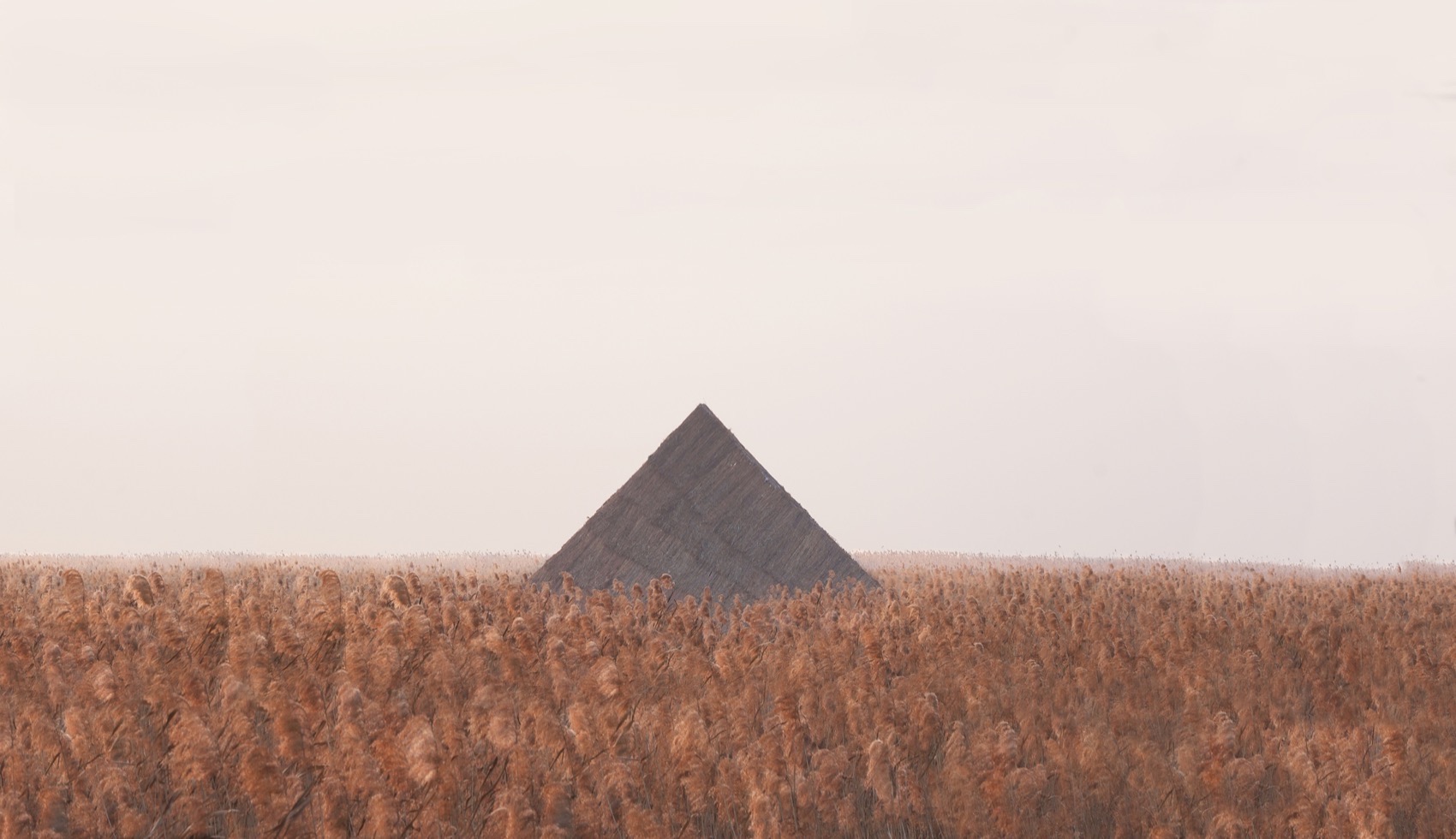 疗愈之“山”丨中国岳阳丨杜扬工作室-17