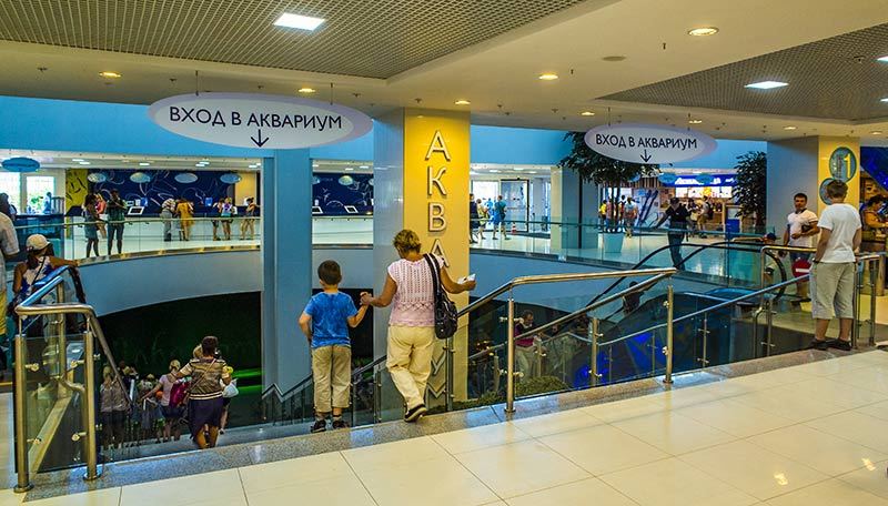 “Moskvarium”海洋馆丨俄罗斯莫斯科丨Aqua Logo Engineering-20