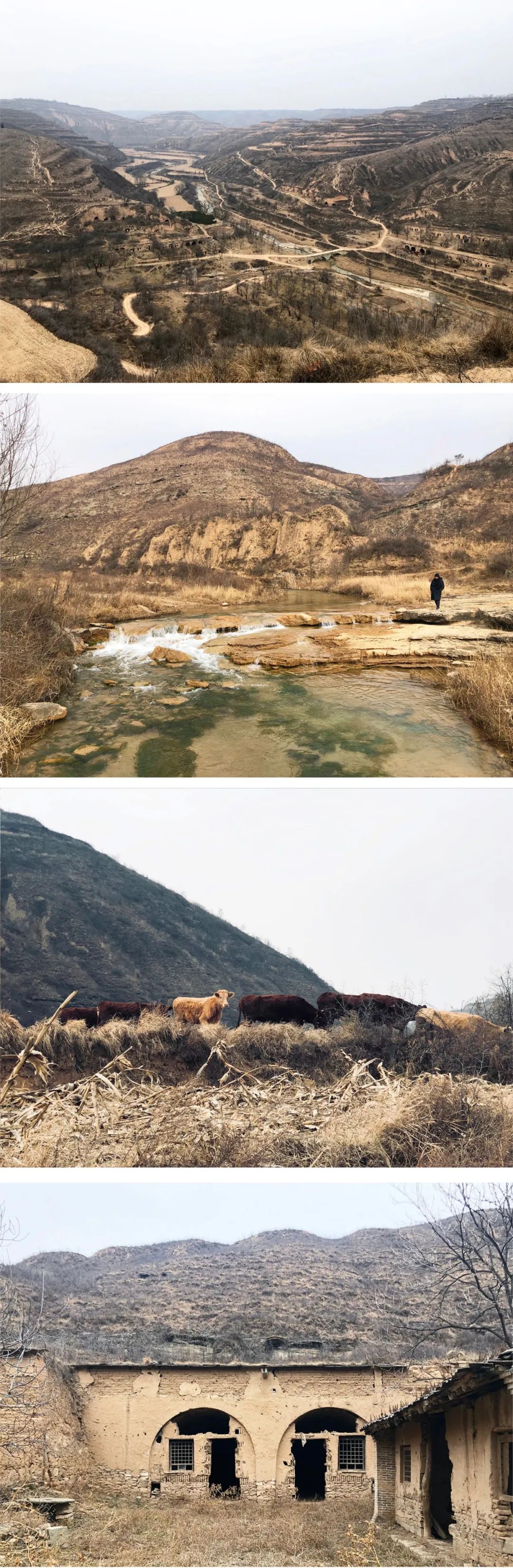 川子河窑洞改造-9