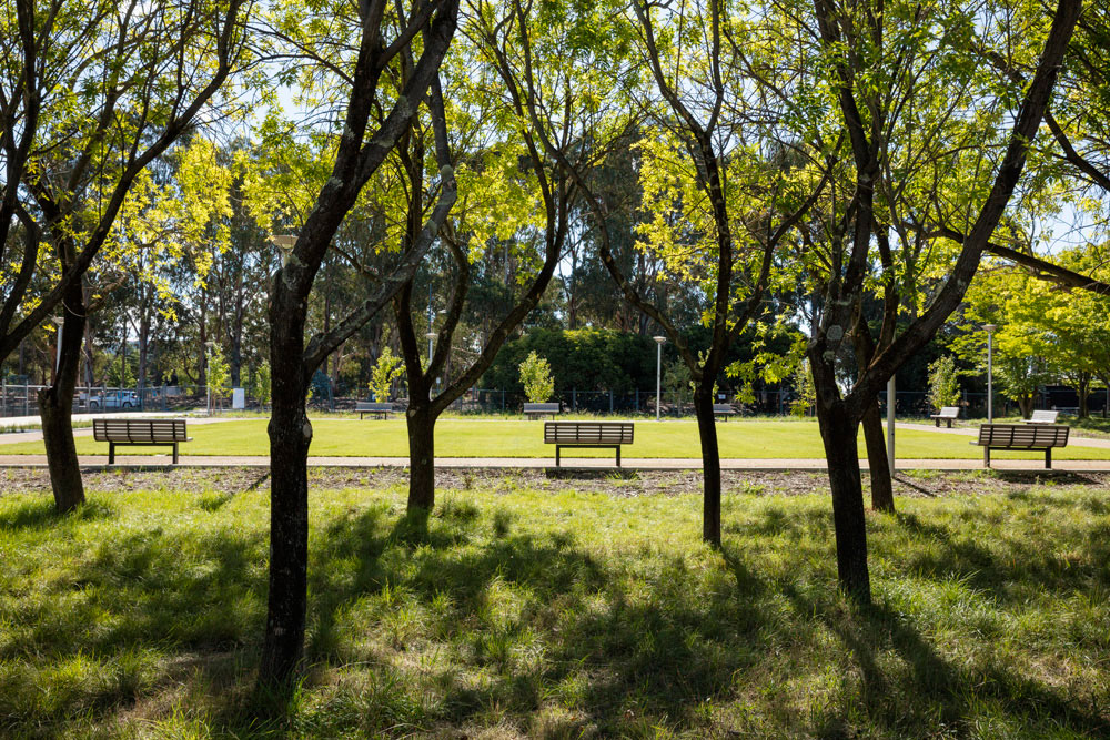 坎贝尔第 5 区生态景观设计丨澳大利亚堪培拉-7