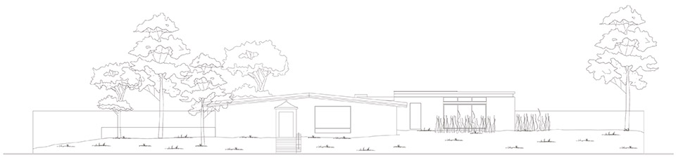 Malvas 59住宅丨墨西哥丨Estudio Radillo Alba-51