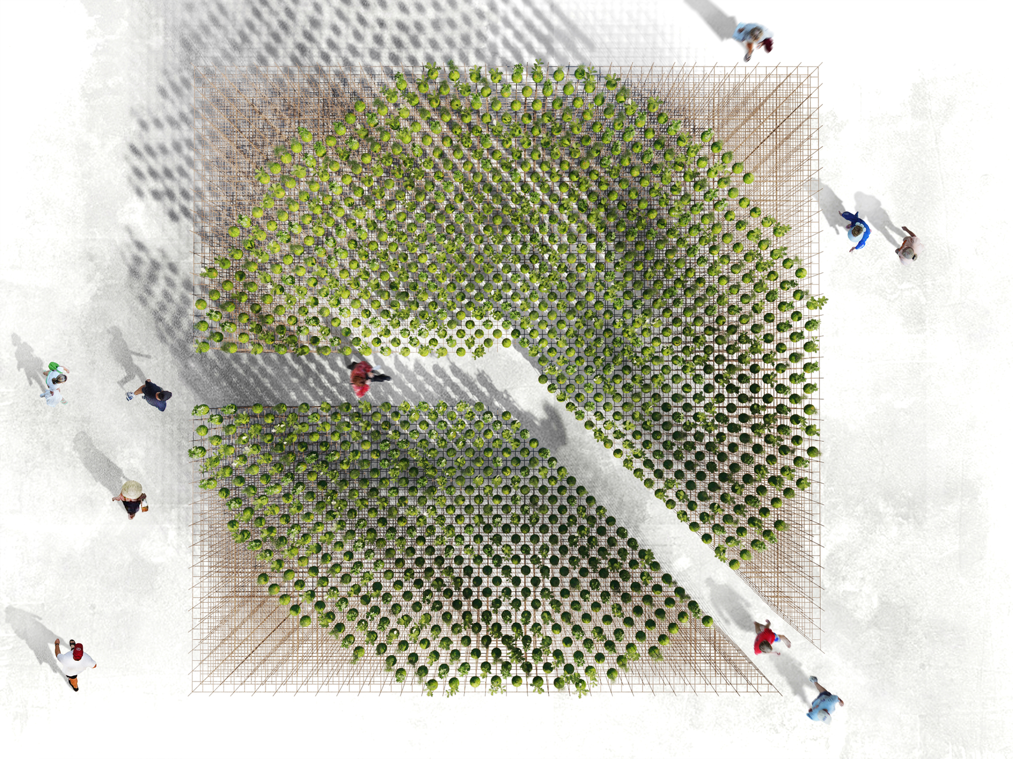 Kokedama Forest Installation，可持续微型森林雕塑-33