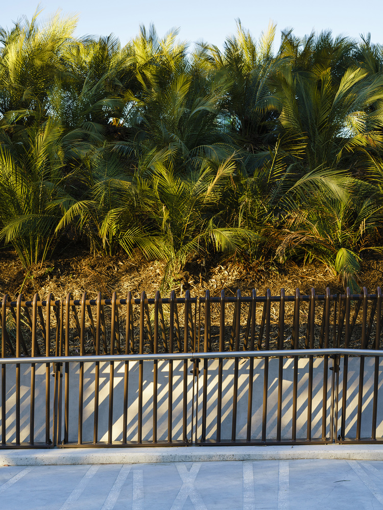 Tanderrum Pedestrian Bridge  John Wardle Architects  + NADAAA + Oculus-45