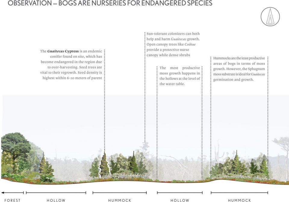 边缘保护 | 智利巴塔哥尼亚荒野低干预保护原型-52