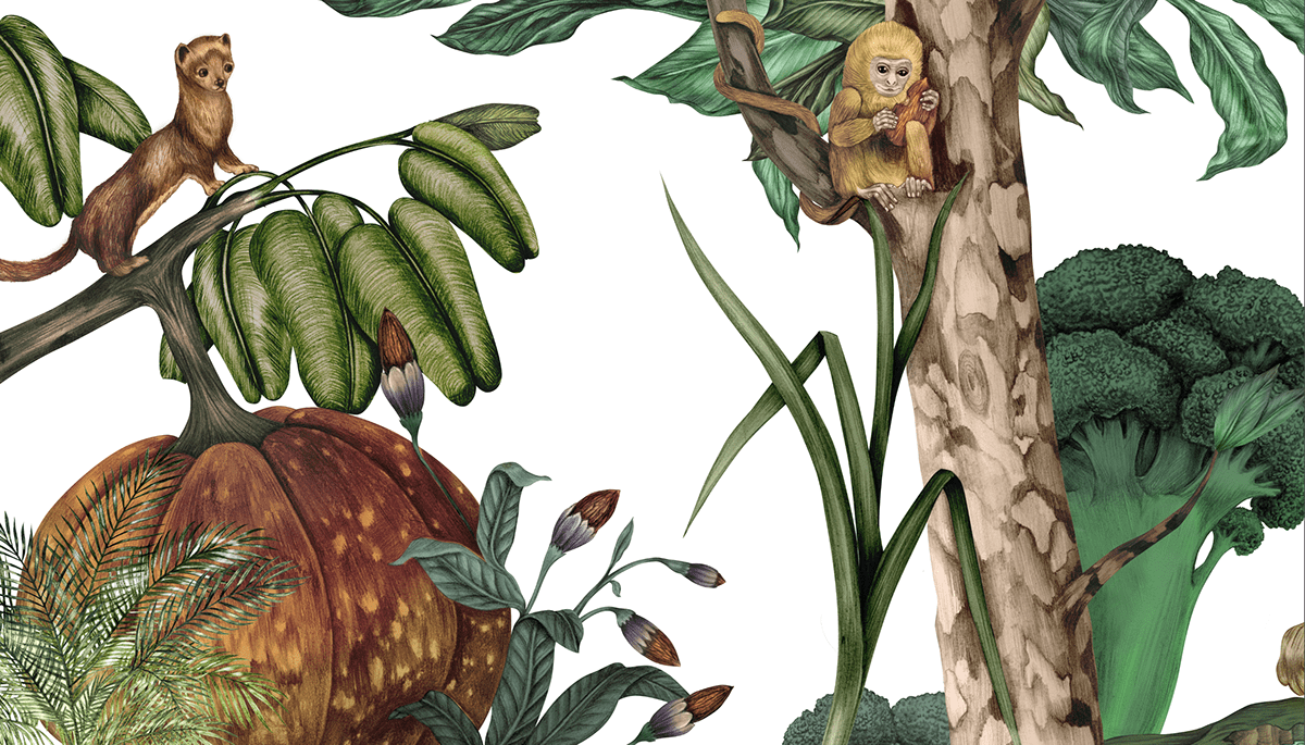 冰岛素食汤吧“SÚPA”-16